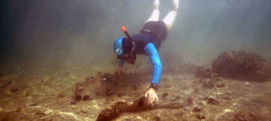 Sea of Marmara Underwater Discoveries